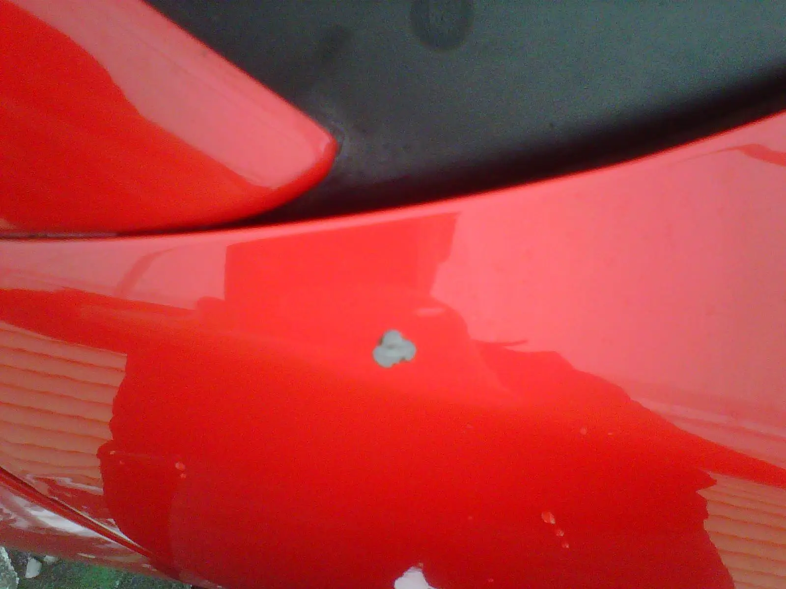 IMG00181-20120211-1018.webp