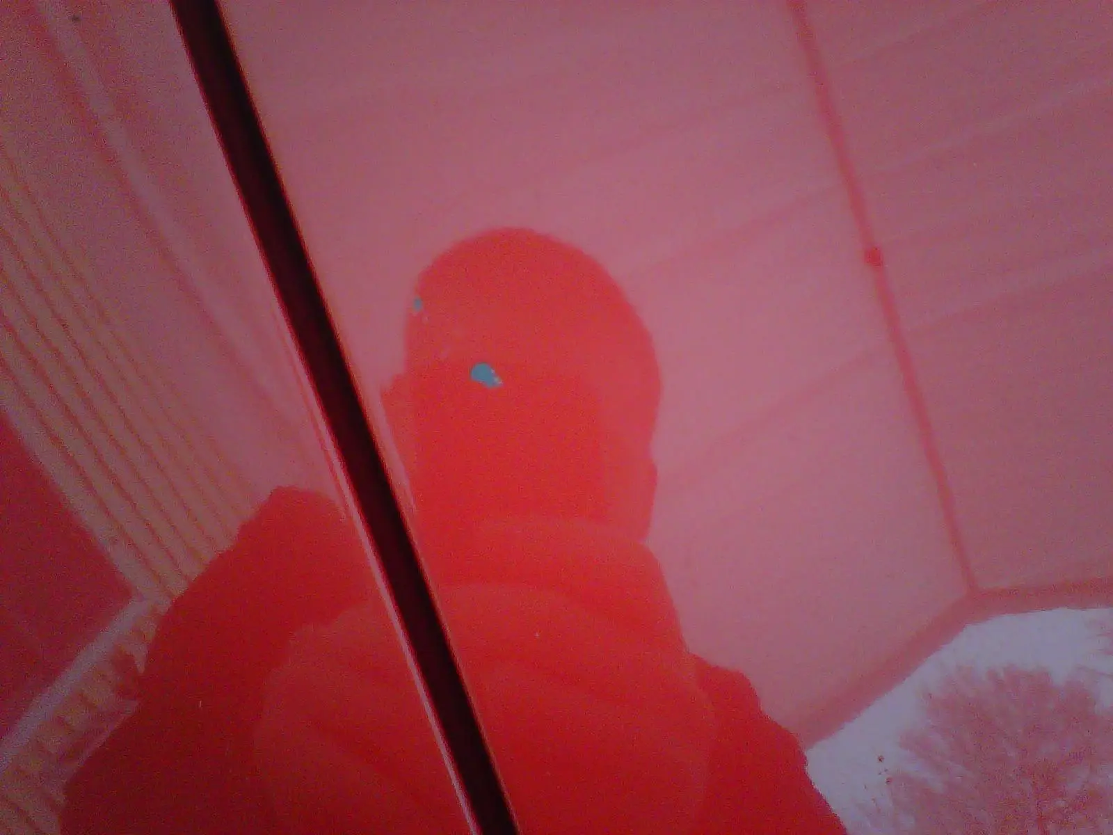 IMG00182-20120211-1018.webp