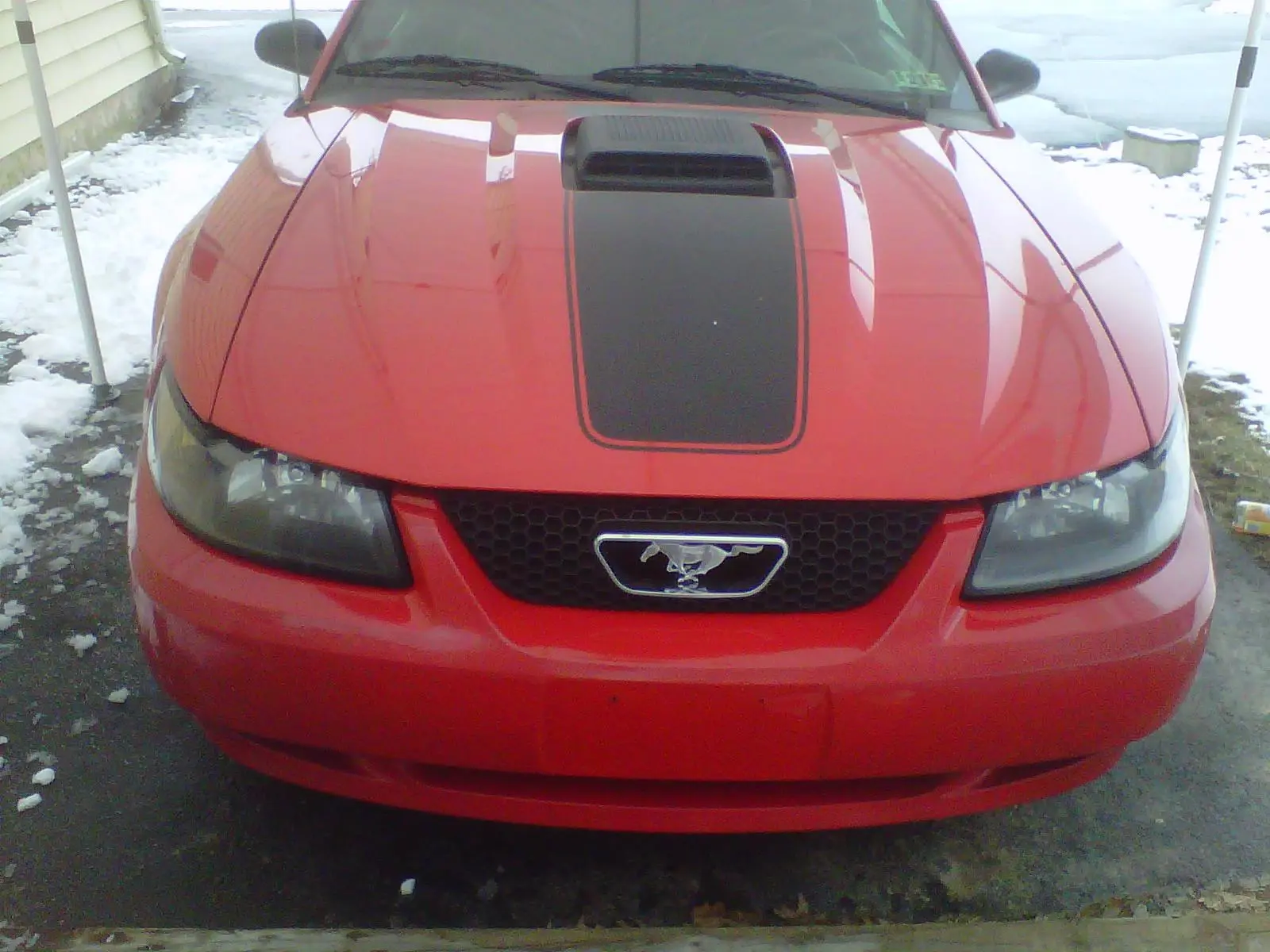 IMG00183-20120211-1018.webp