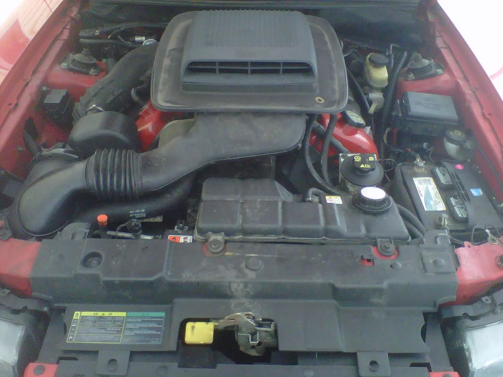IMG00187-20120211-1020.webp