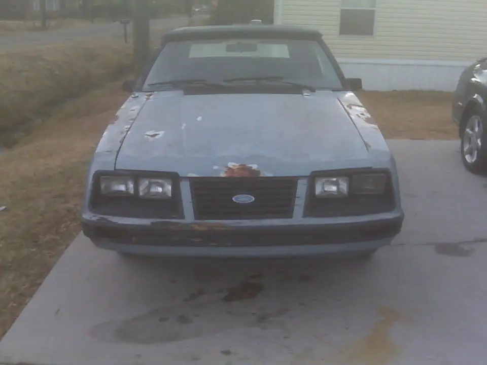 IMG00223.webp