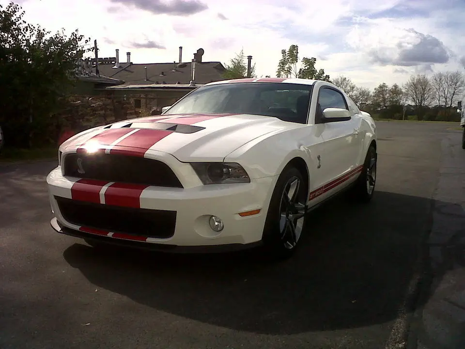 IMG00226-20101018-1318.webp