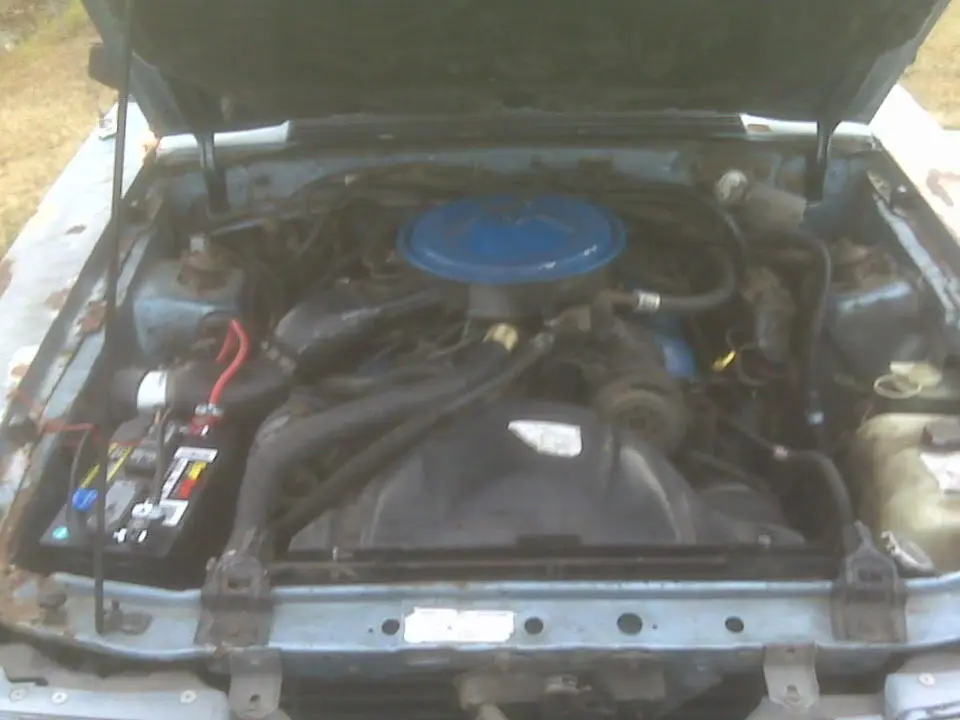 IMG00229.webp