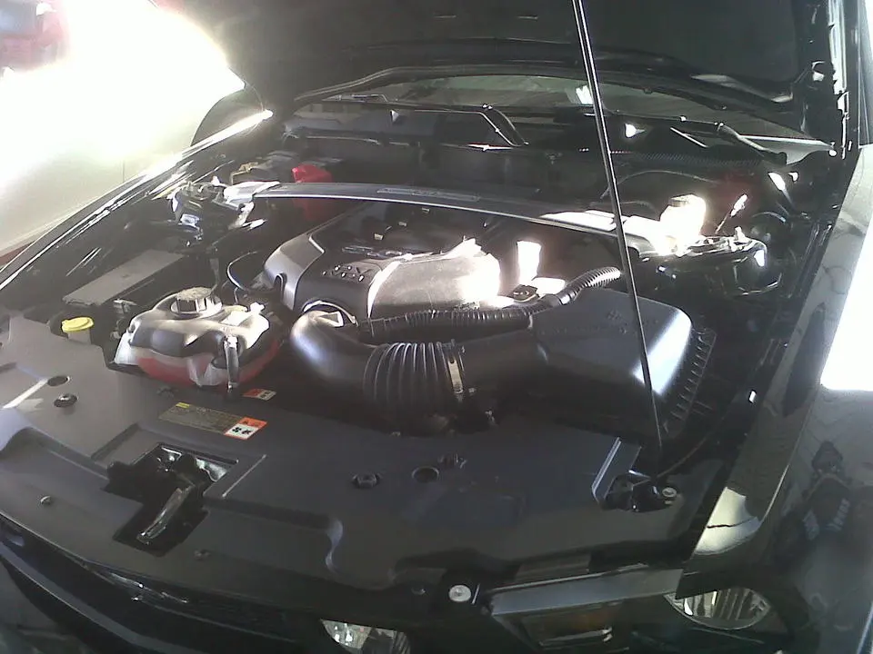 IMG00246-20101019-1640.webp