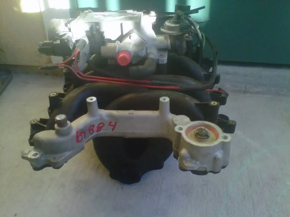 IMG00257-20110126-1710.webp