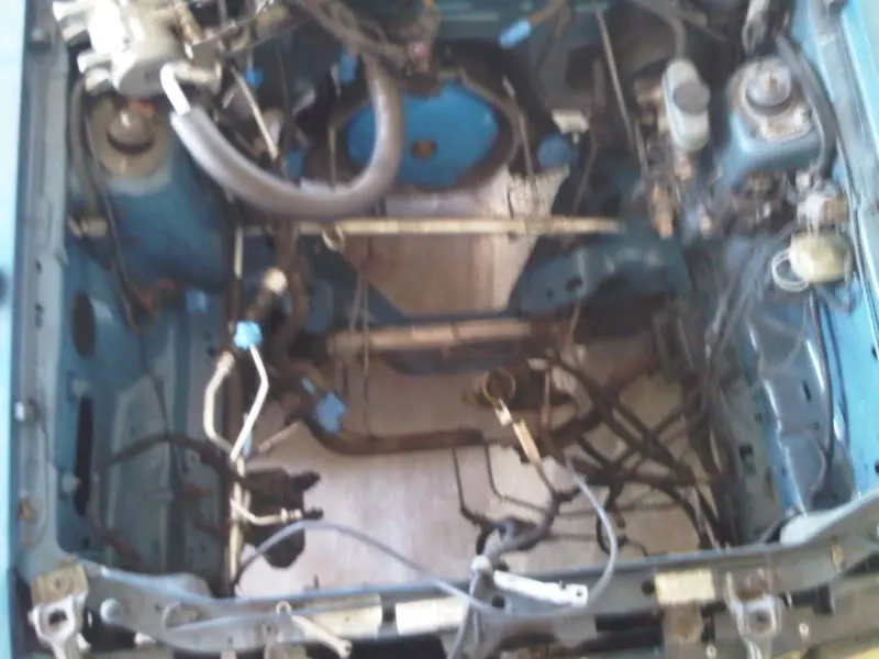 IMG00289-20091008-1206.webp