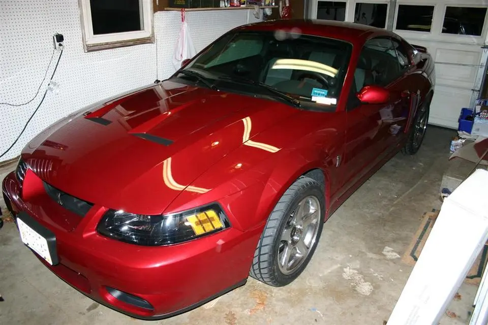 img0032large1fc.webp