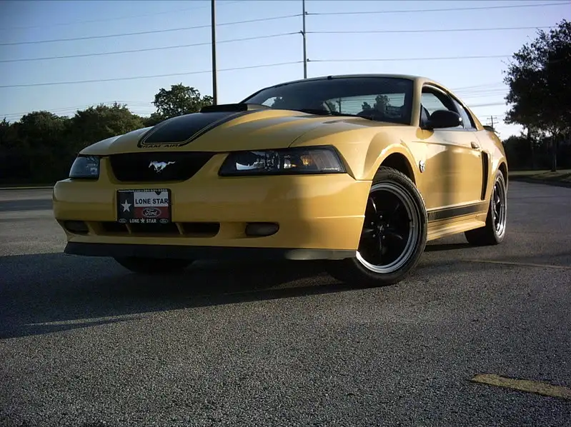 IMG00331.webp