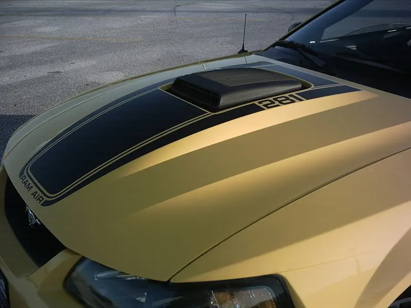IMG00339.webp