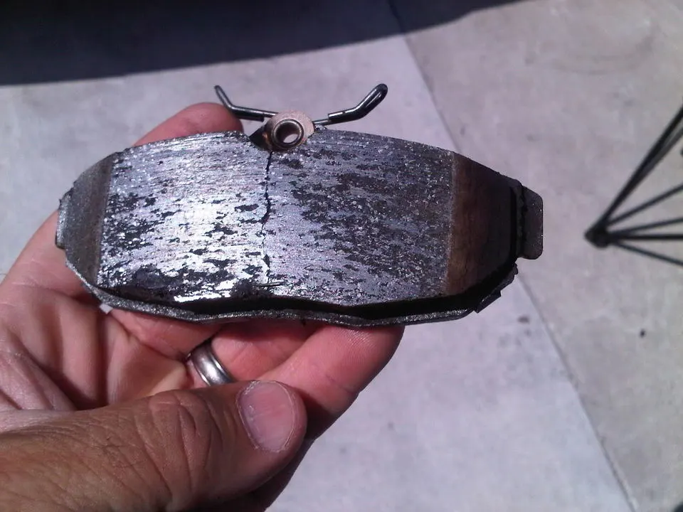 IMG00474-20110528-1609.webp