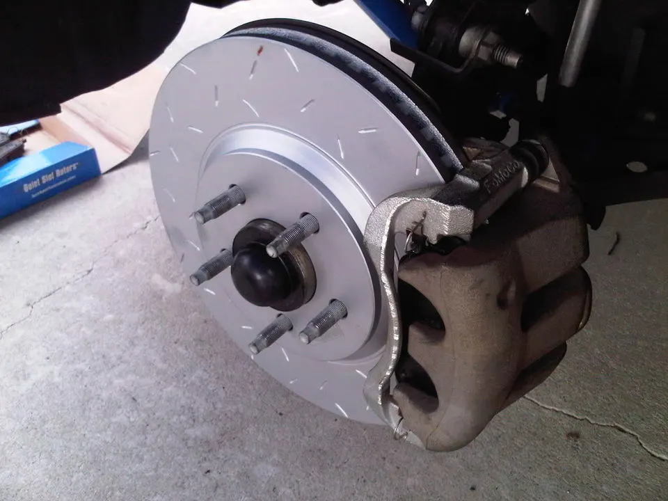 IMG00477-20110528-1735.webp