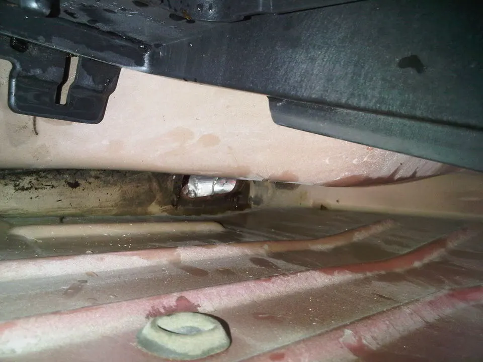 IMG00602-20110623-1830.webp