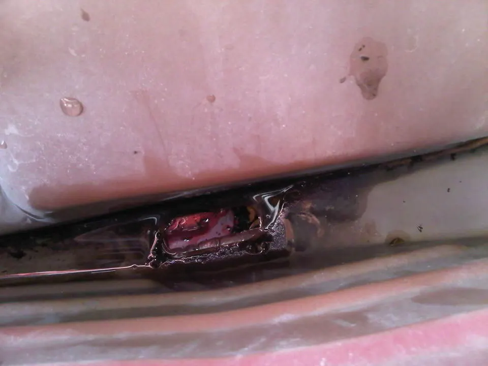 IMG00603-20110623-1830.webp