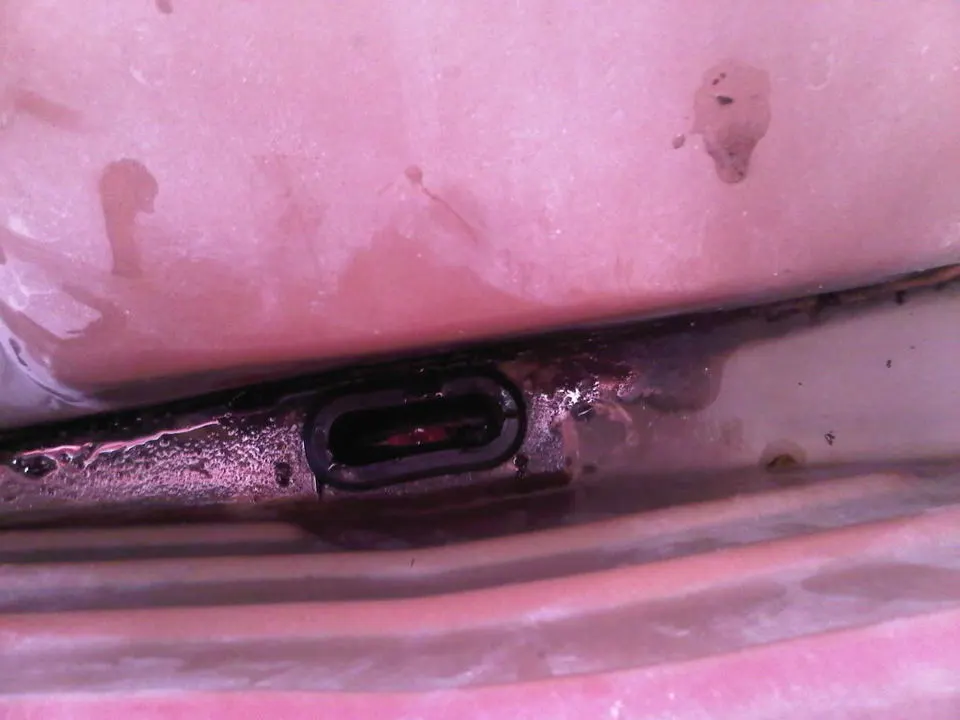 IMG00605-20110623-1831.webp