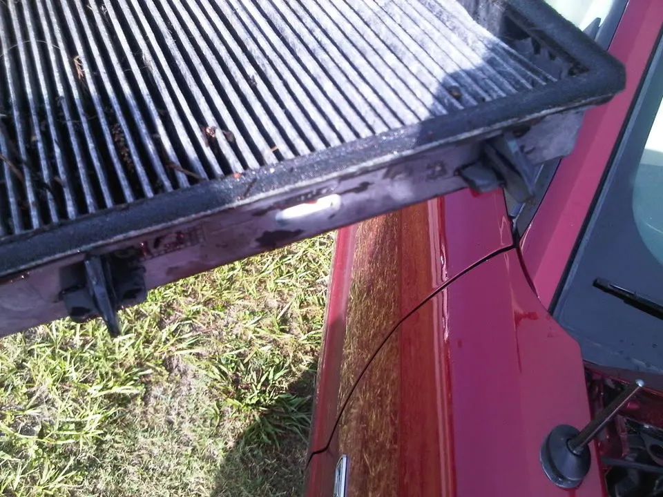 IMG00607-20110623-1832.webp