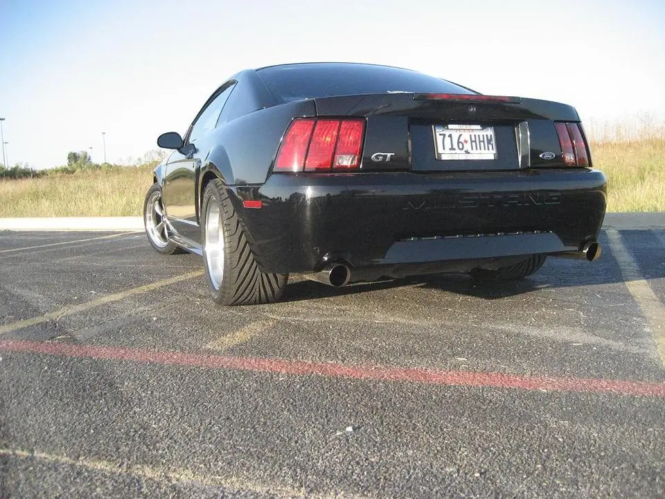 img0244jf1.webp