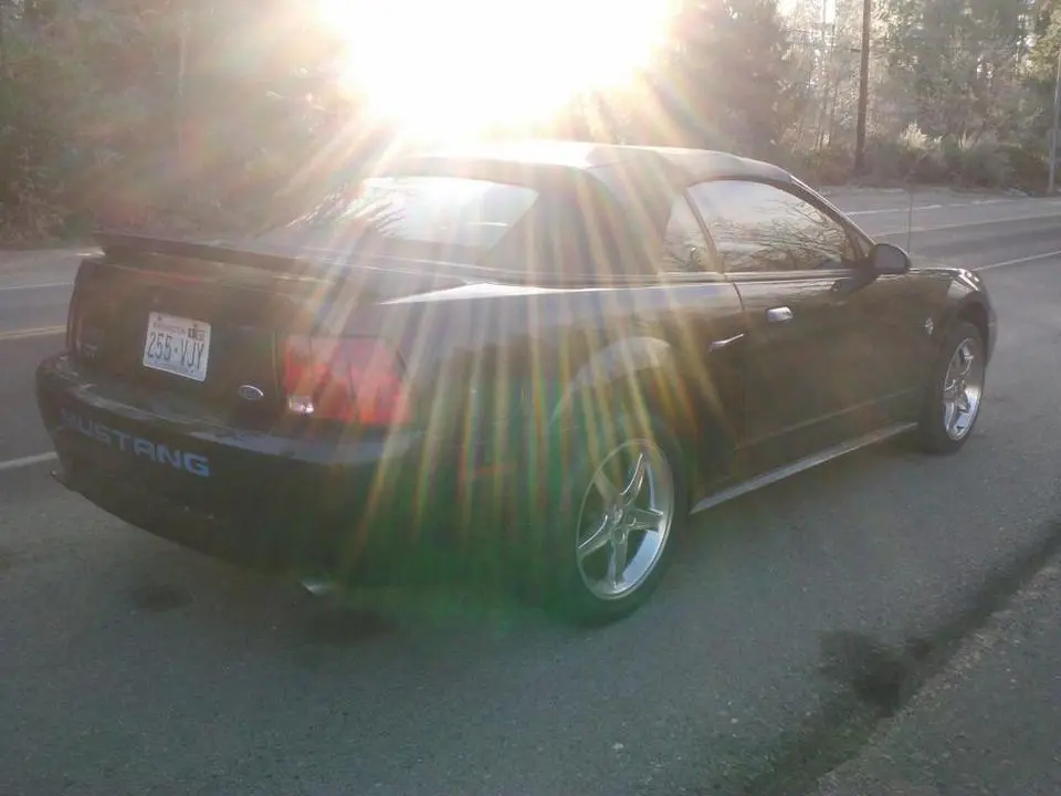 IMG031_zps2d1c04a9.webp