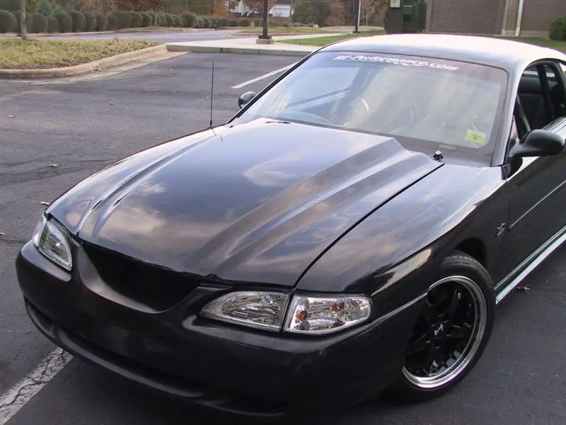 img0398mediumgf9.webp