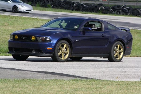 IMG0506-M.webp