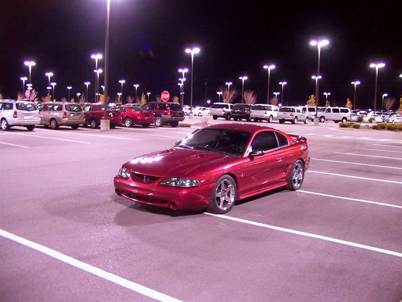 img0564mediumxh8.webp