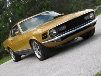 img0631copysmallxj2.th.webp