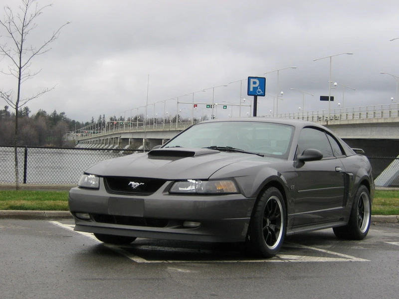 img1004xb4.webp