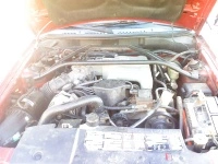 img128f.th.webp