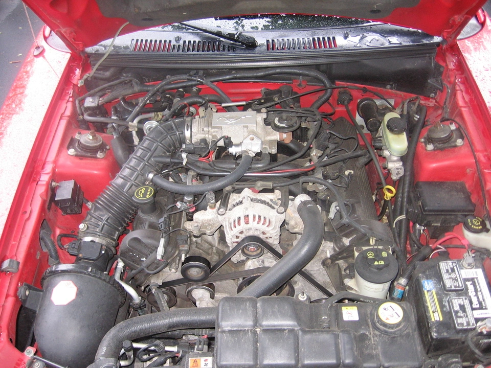img1744fh.webp