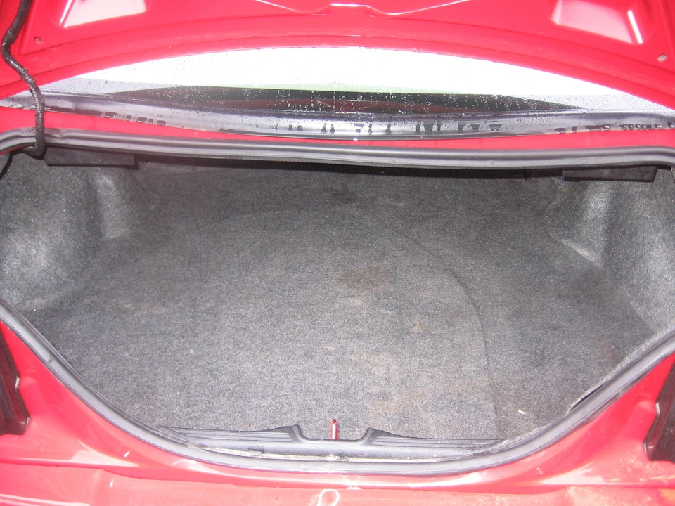img1745m.webp