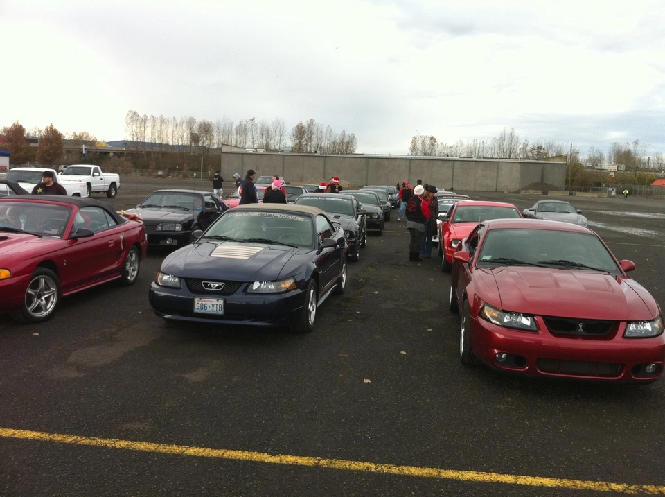 img1849gf.webp