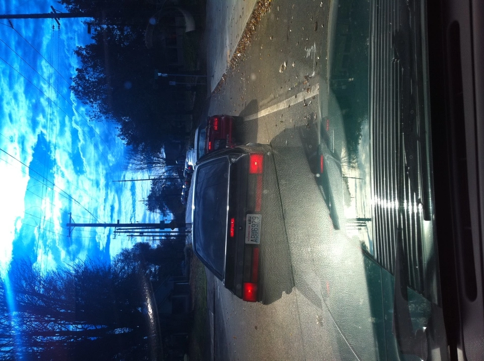 img1854m.webp