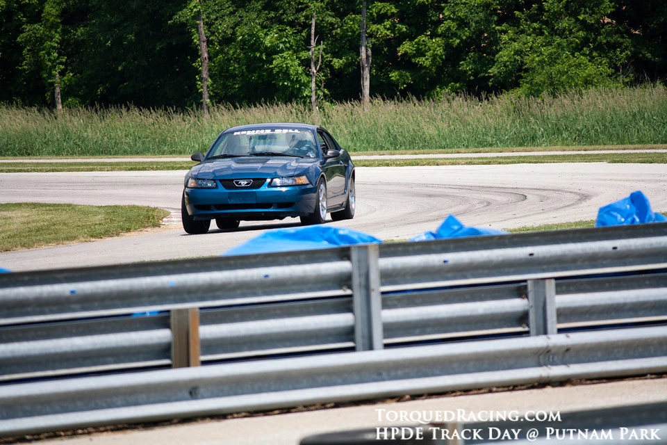 IMG2418-XL.webp