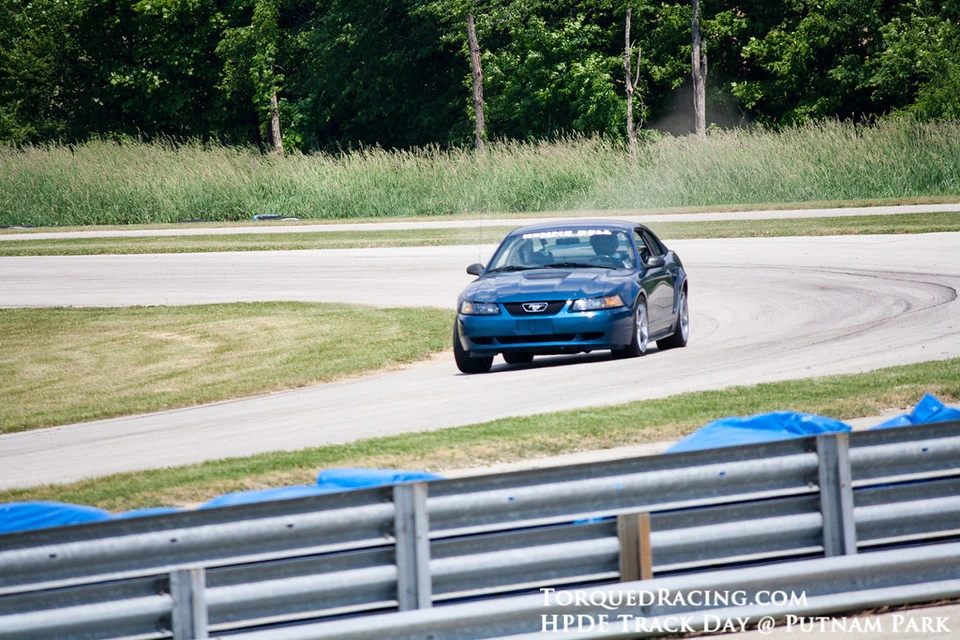 IMG2435-XL.webp