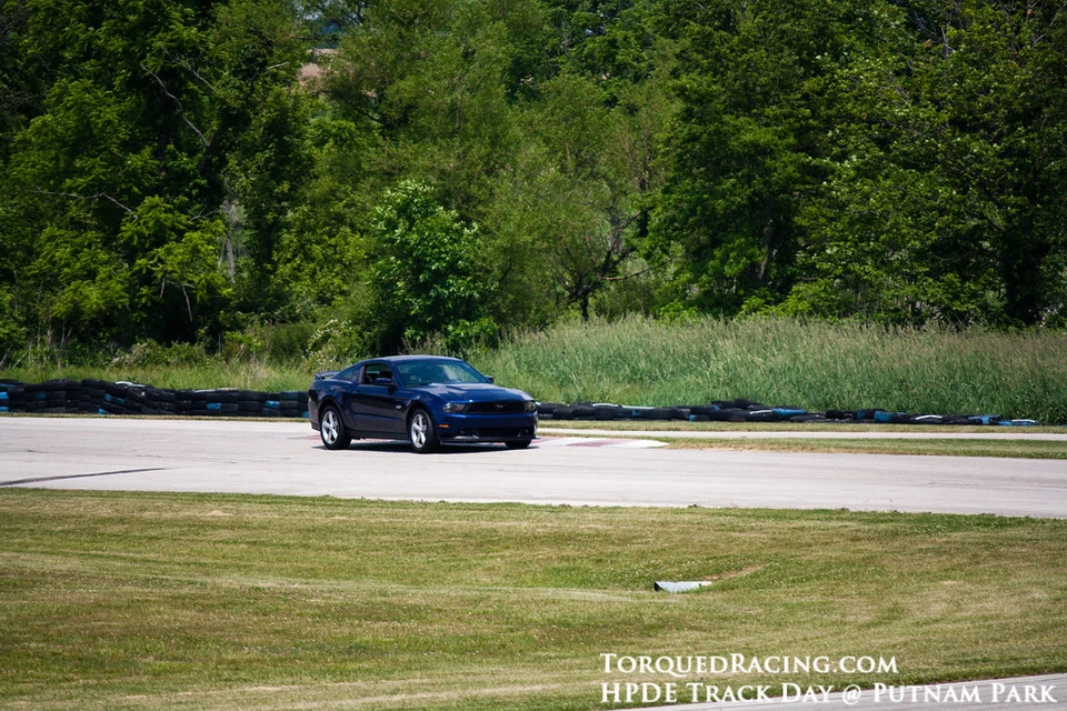IMG2497-XL.webp