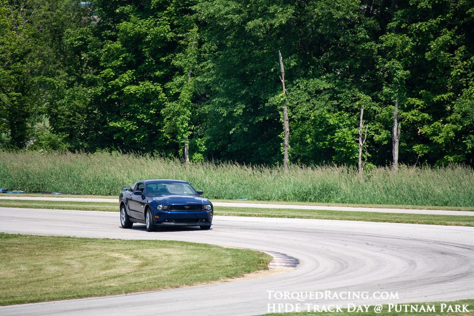 IMG2515-XL.webp