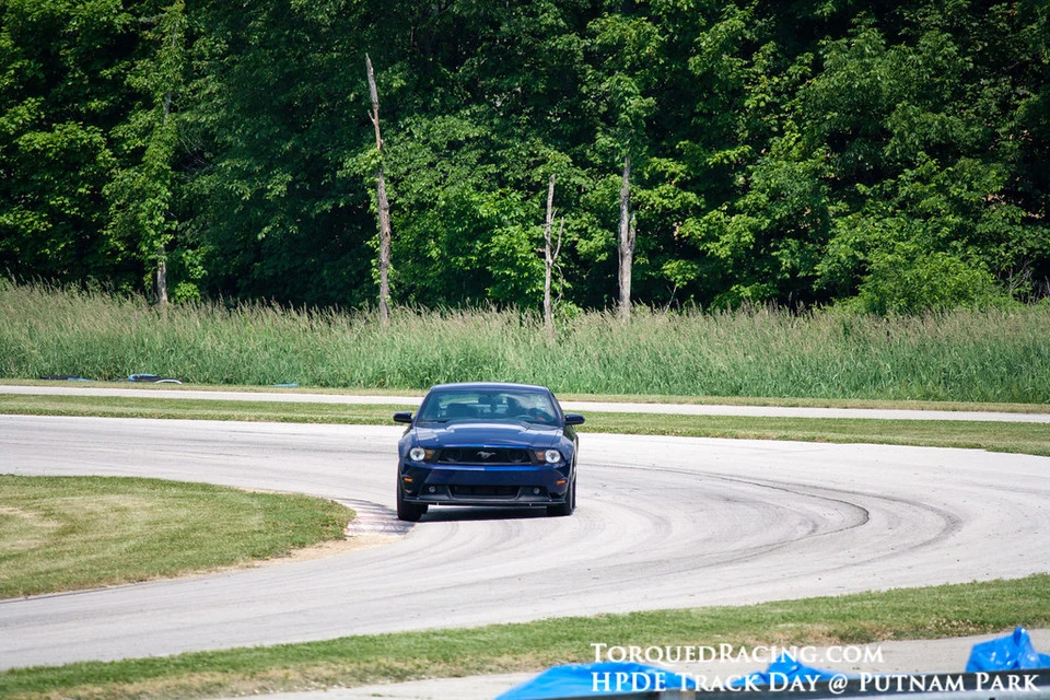 IMG2516-XL.webp