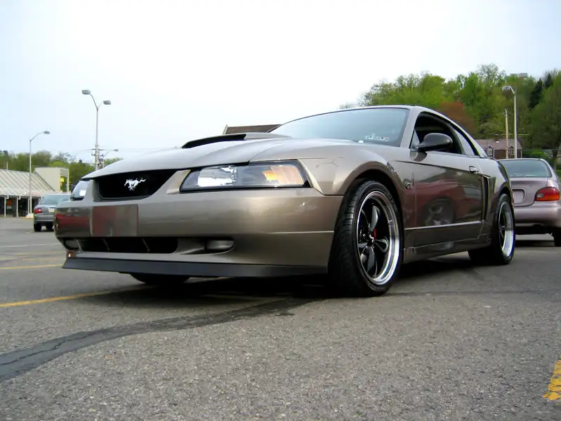 img2695hc7.webp