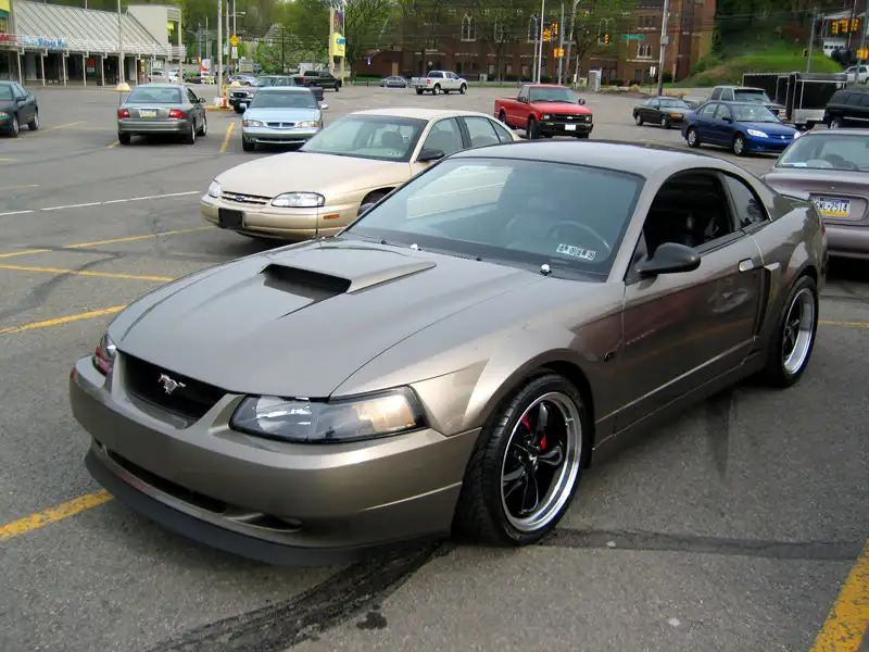 img2696wb5.webp
