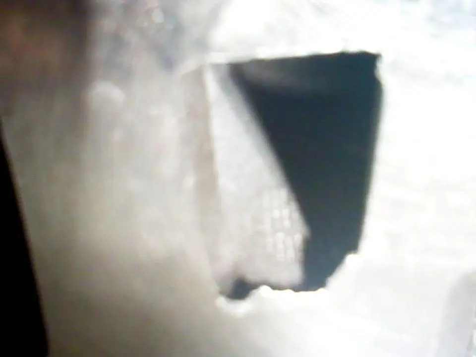 img369.webp