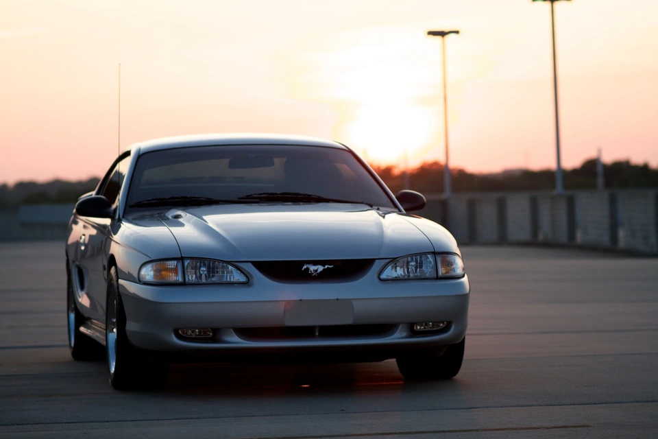 img3741z.webp
