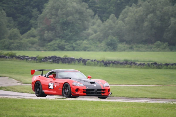 IMG4826-M.webp