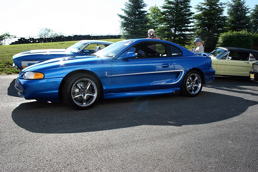 img4895y.webp