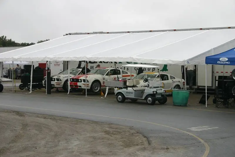 img5261800x6003kd.webp