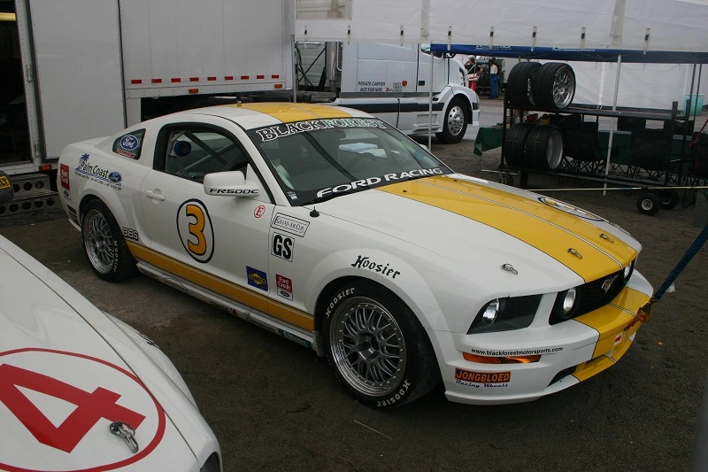 img5262800x6002tl.webp