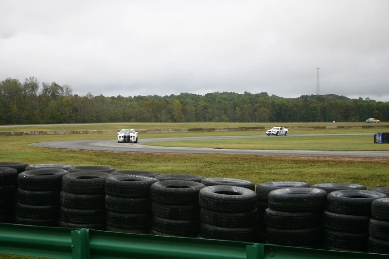img5323800x6008bx.webp