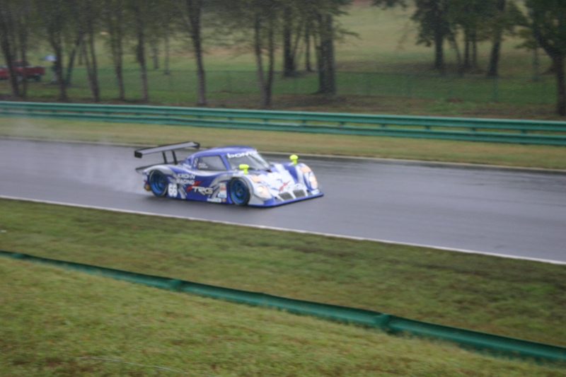 img5339800x6006rg.webp