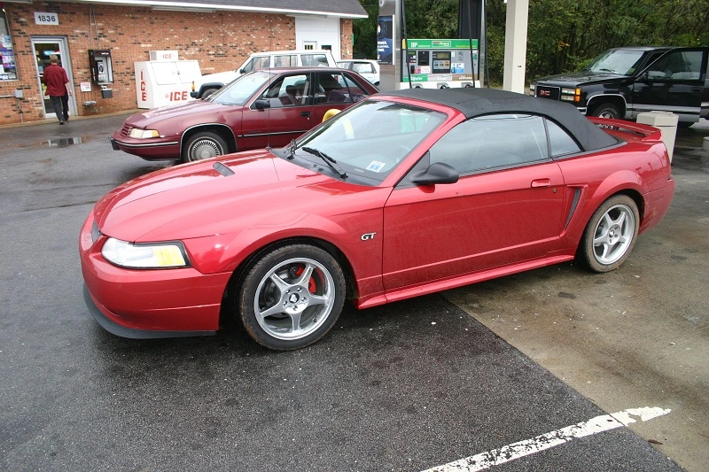 img5384800x6006iw.webp