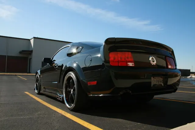 img6354vw2.webp