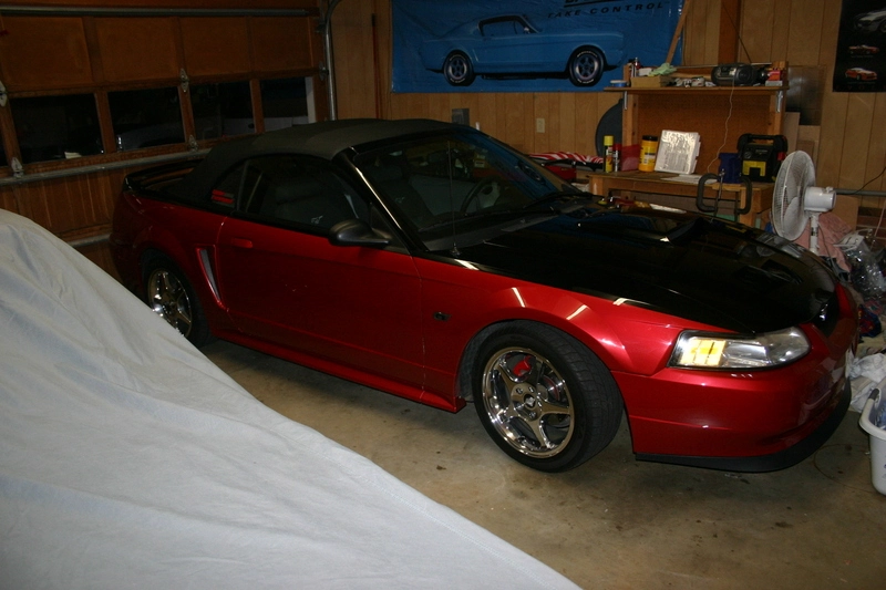 img6894lm5.webp