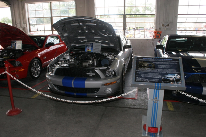 img7102i.webp